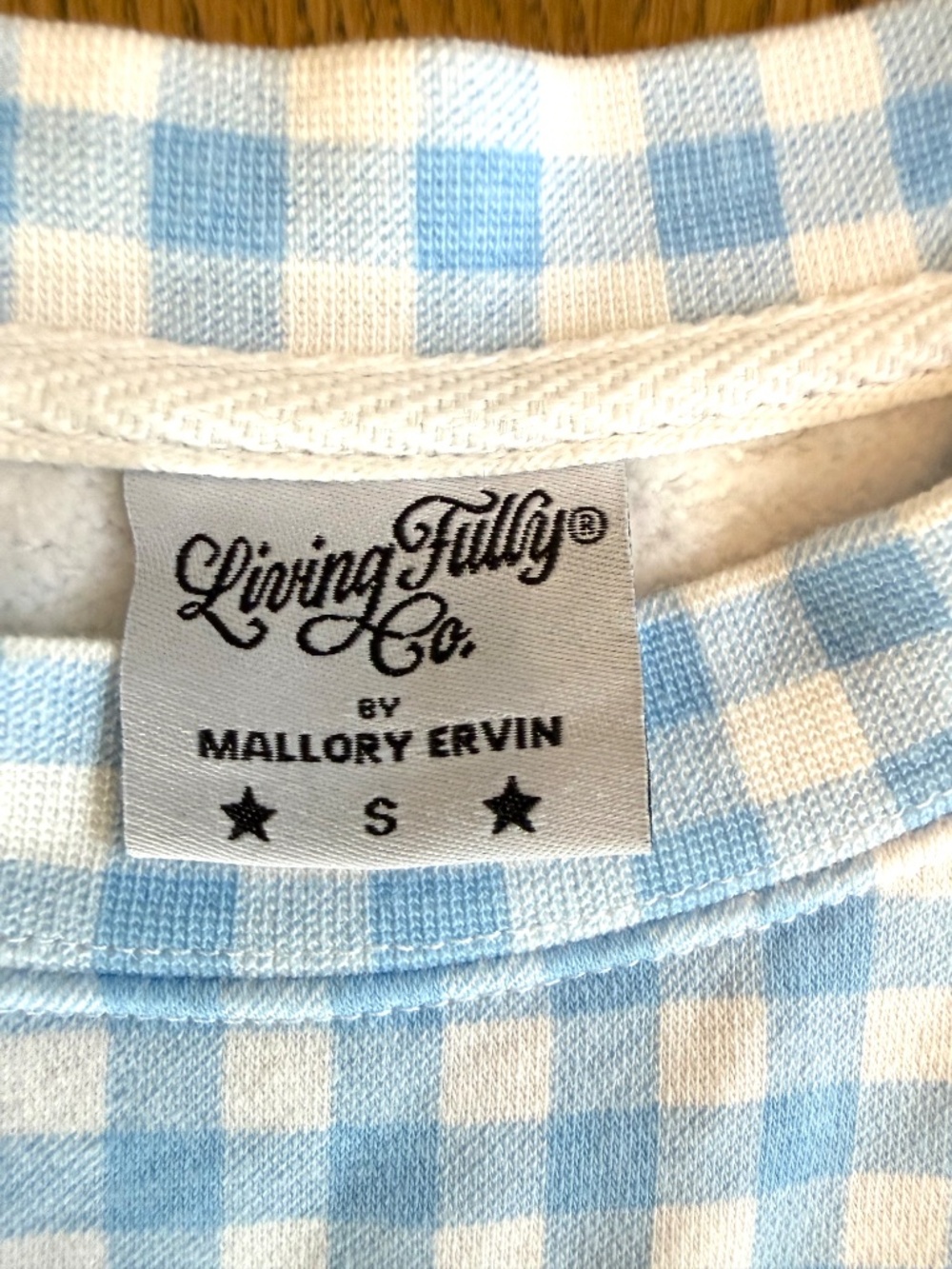NWOT Living Fully Co Gingham Lightweight Sweatshirt Blue White Popsicle Top S - Picture 6 of 11
